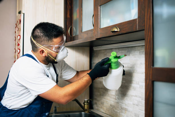 Best Best Pest Control Companies  in West Hollywood, CA