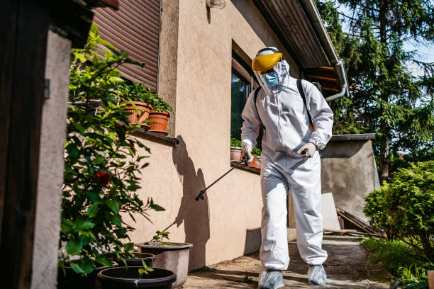 Best Ant Control Services  in West Hollywood, CA