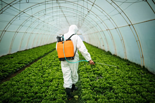 Best Pest Control Treatment  in West Hollywood, CA