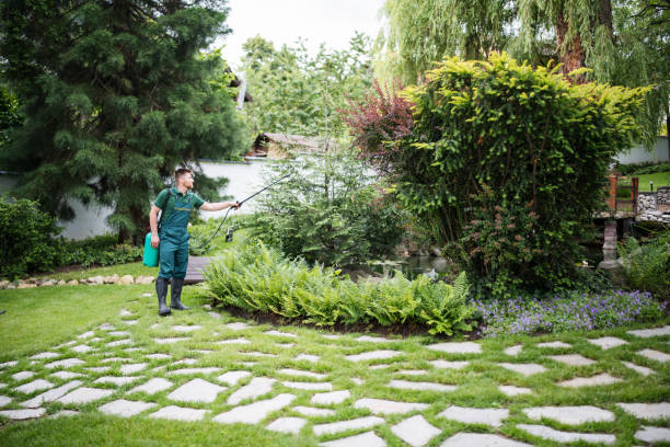 Best Pest Prevention Services  in West Hollywood, CA