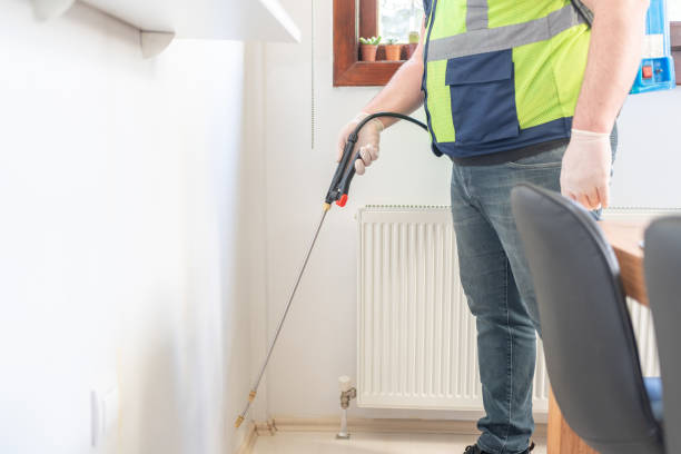 Best Local Pest Control Services  in West Hollywood, CA