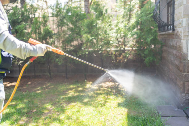 Best Mosquito Control Services  in West Hollywood, CA