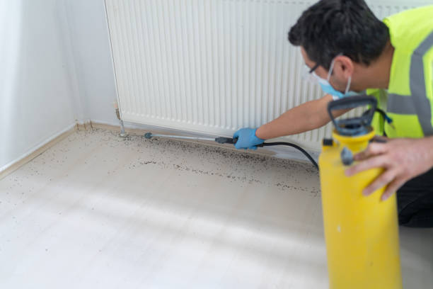 Best Best Pest Control Companies  in West Hollywood, CA