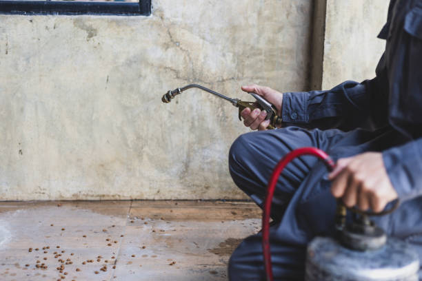 Best Pest Control Cost  in West Hollywood, CA